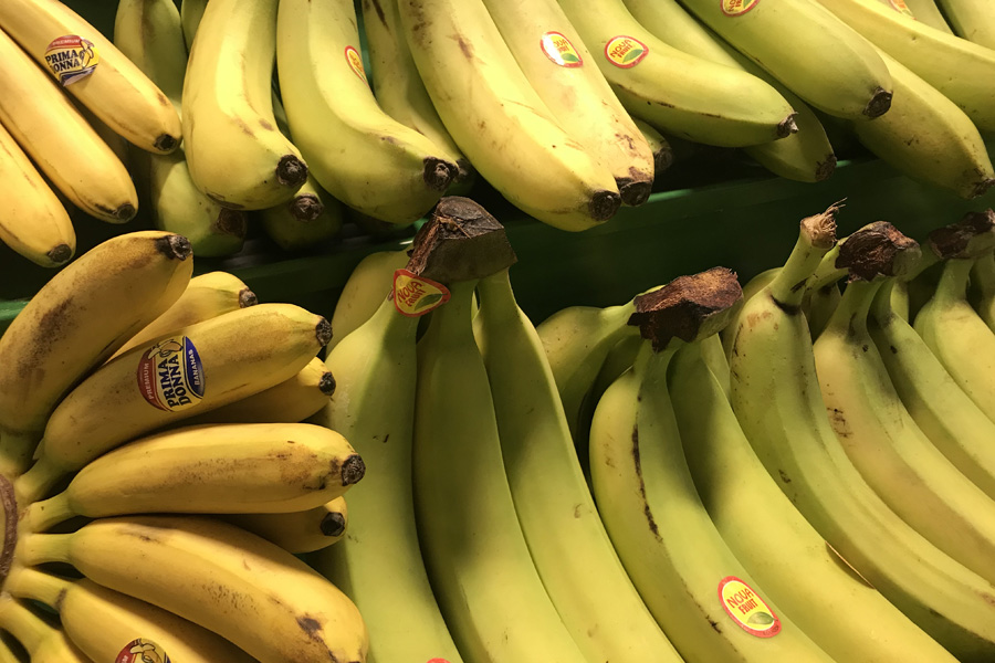 Бананы: Польза и вред бананов для здоровья